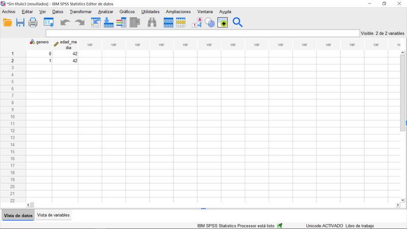 spss_v28_Datos_vuelta_spss_desde_R_visor_datos.png