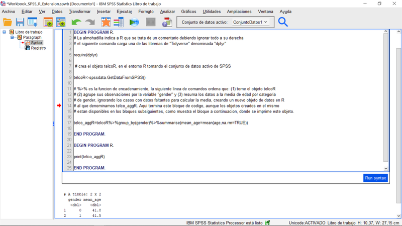 spss_v28_Ejemplo1_Libro de Trabajo.png